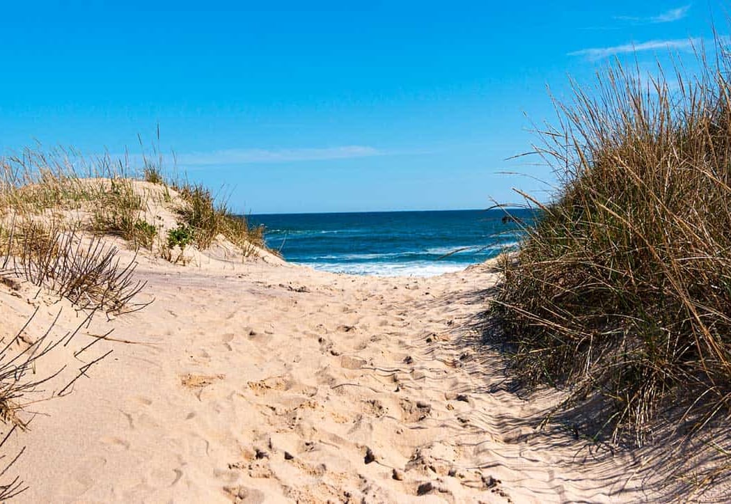 Walking Dunes Trail 1