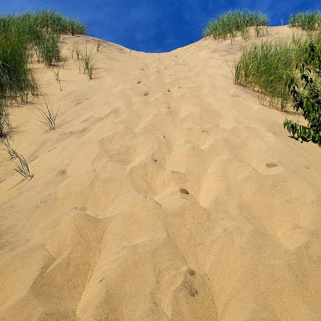 Walking Dunes Trail 4