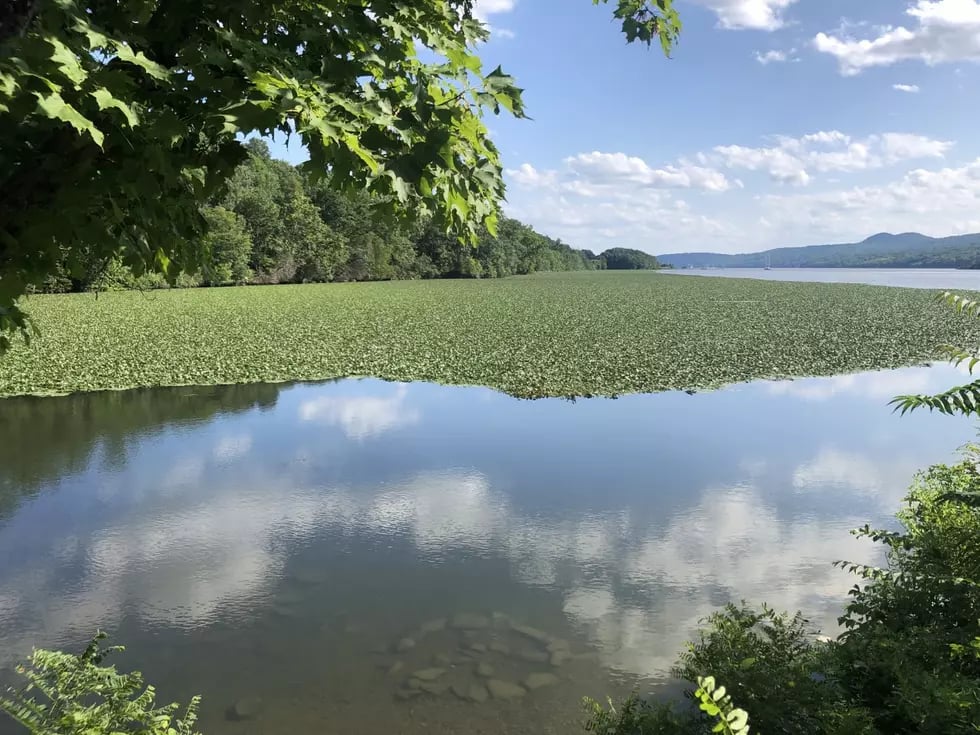 Margaret Norrie State Park