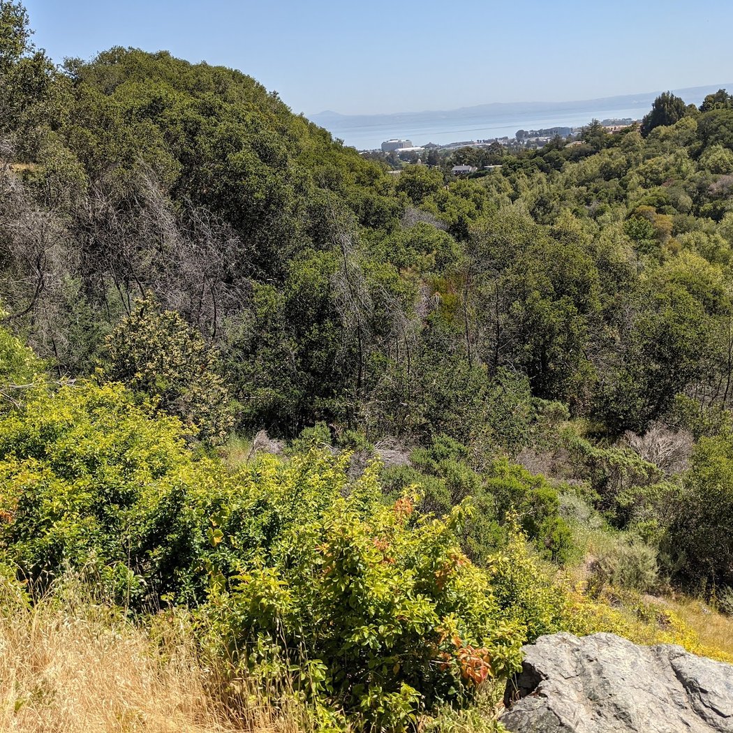 Mills Canyon Park 2