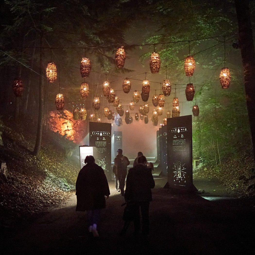 Foresta Lumina 1