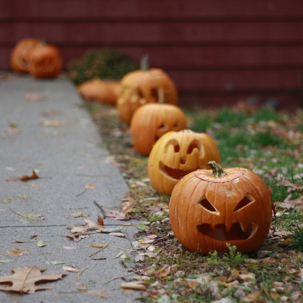 Pumpkin Fest 1