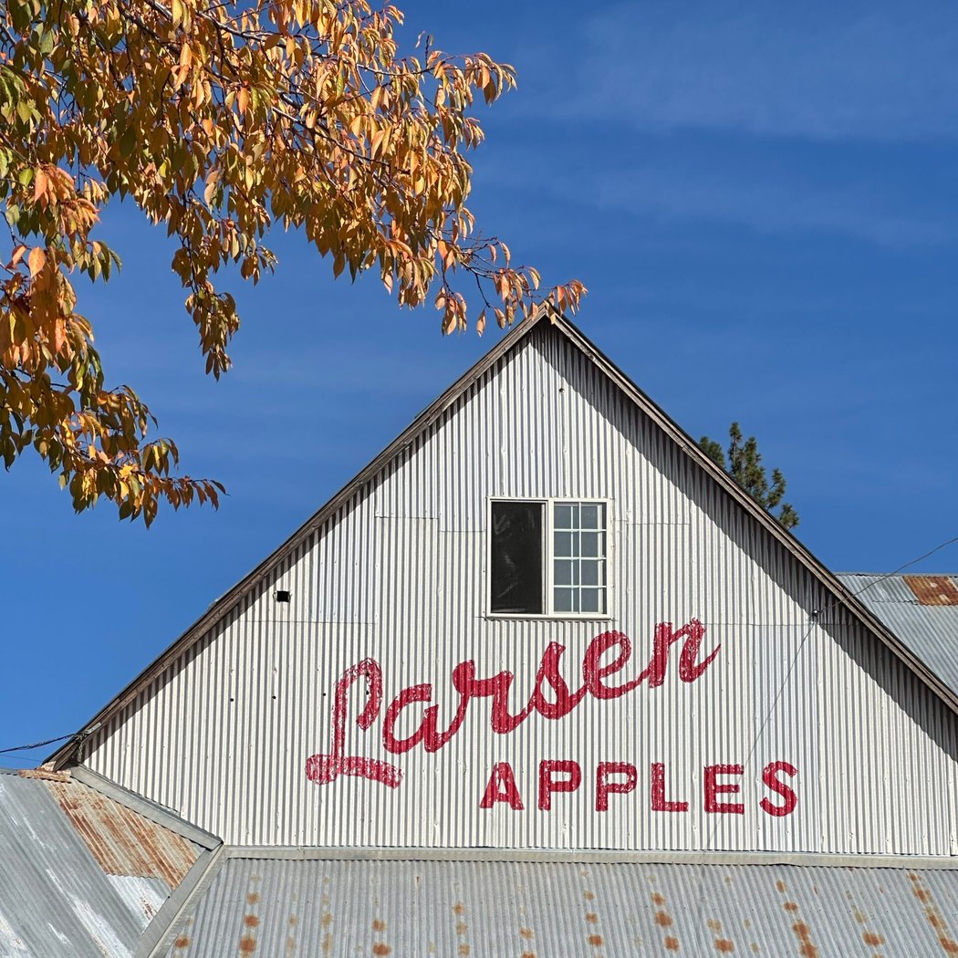 Apple Hill 2