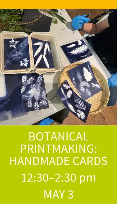 Botanical Printmaking: Handmade Cards 1