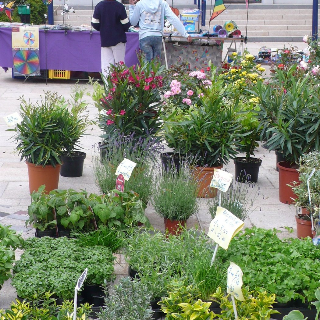 Marché des Jardiniers de Clamart 2