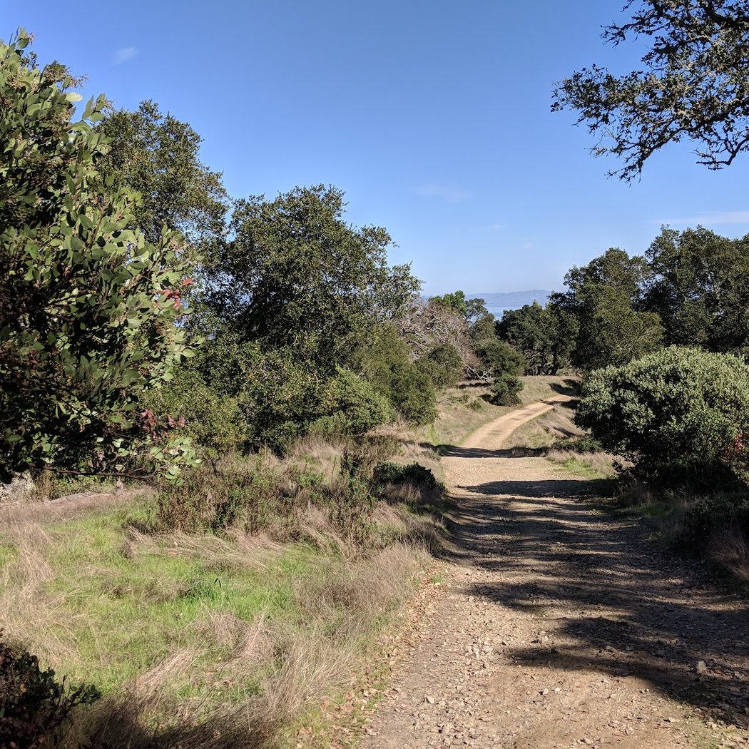 Loma Verde Preserve 3