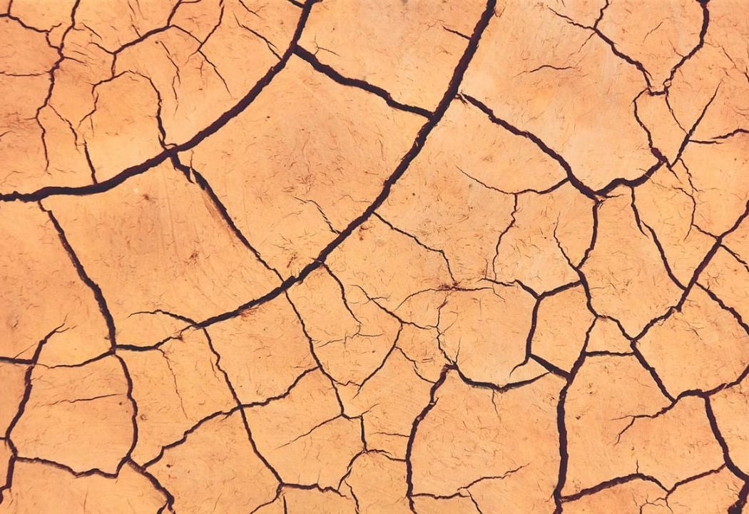 Où en est l’agriculture face au changement climatique ? 1
