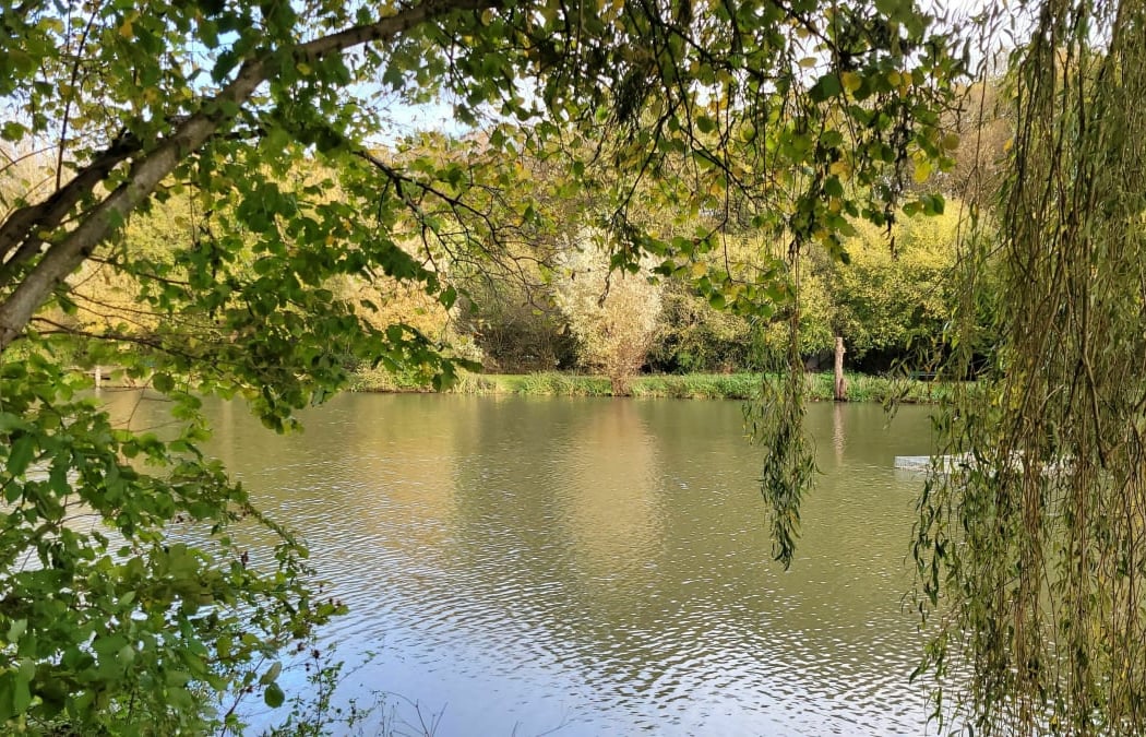 Couleurs d'automne 1