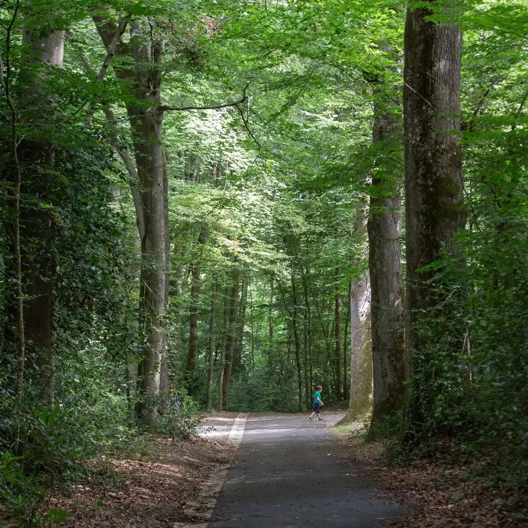 Parc de la Gaudinière 3