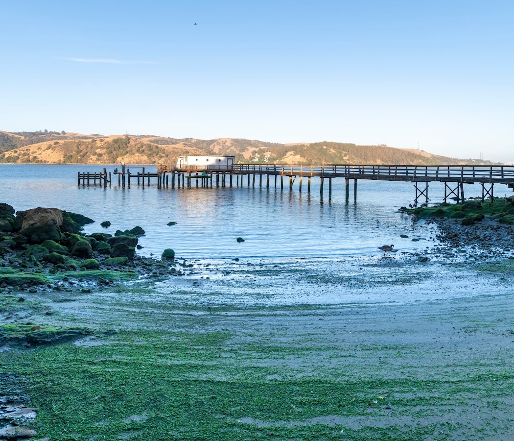 Raymond J. Bordoni Public Access Beach 1