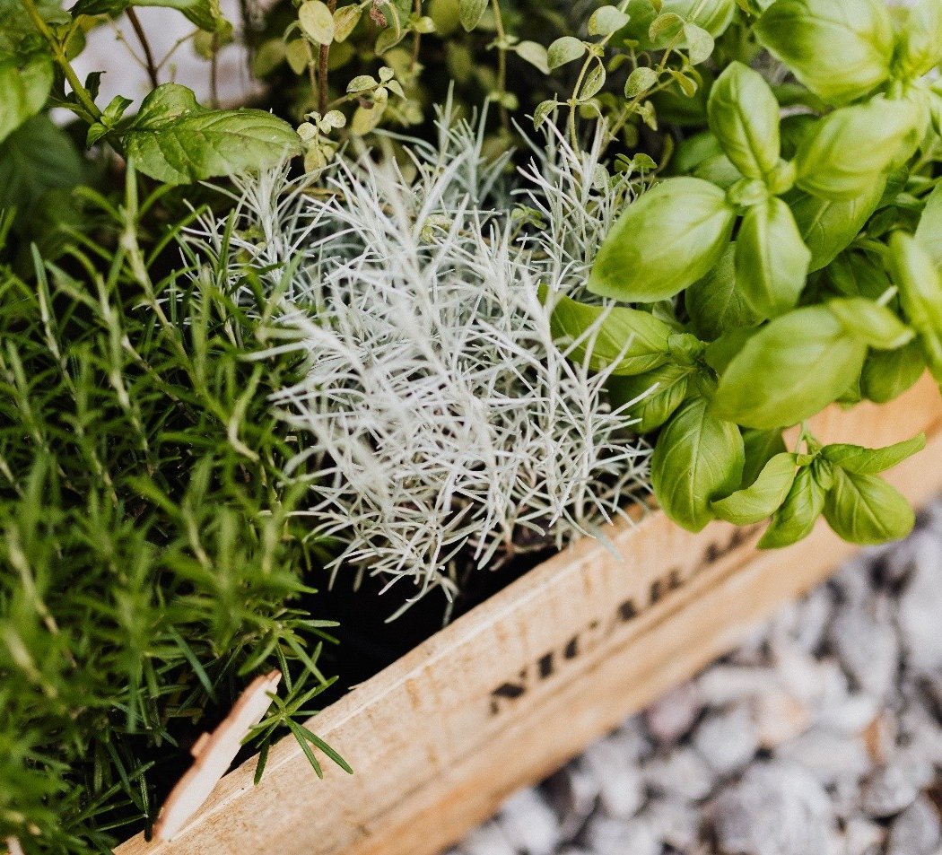 Let’s Get Growing! Garden DIY 1