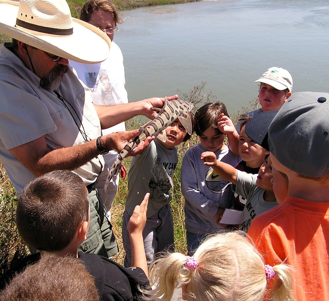 Hayward Shoreline Interpretive Center 1