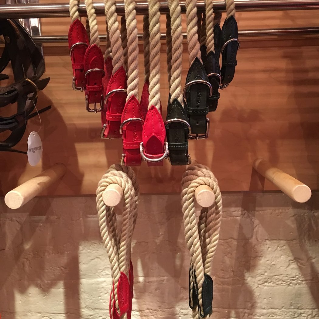 Wagwear 3