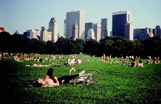 Film Screening – “Central Park” 1