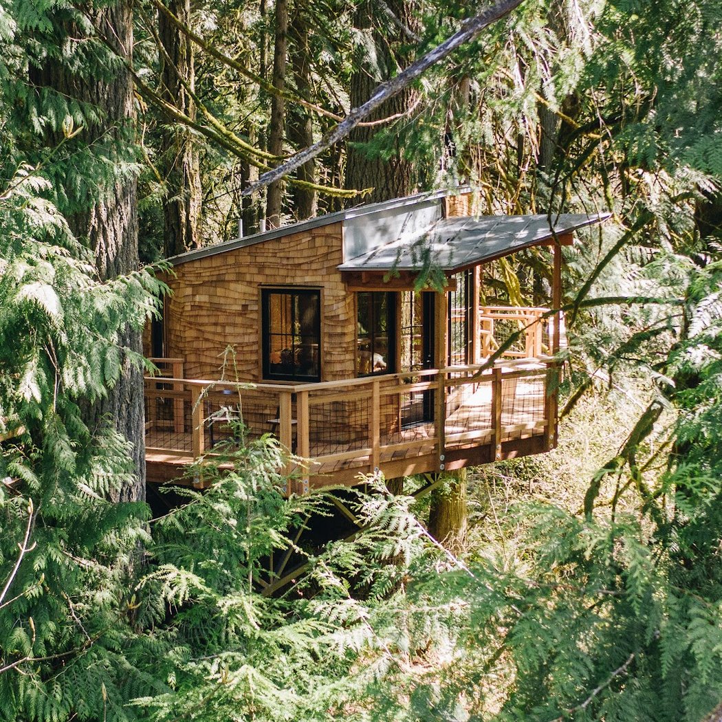 TreeHouse Point 3
