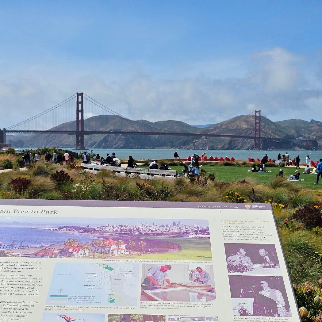 Interactive Celebration of Coyotes in the Presidio 2