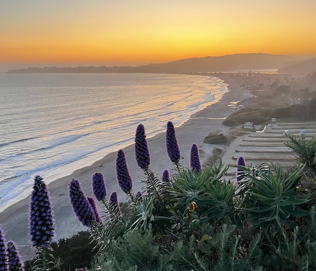 Stinson Beach 1