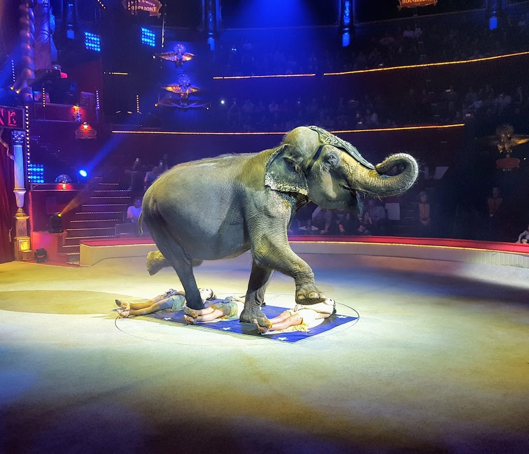 Visite historique du Cirque d'Hiver 3