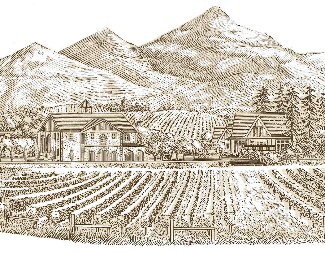 Cathiard Vineyard 3