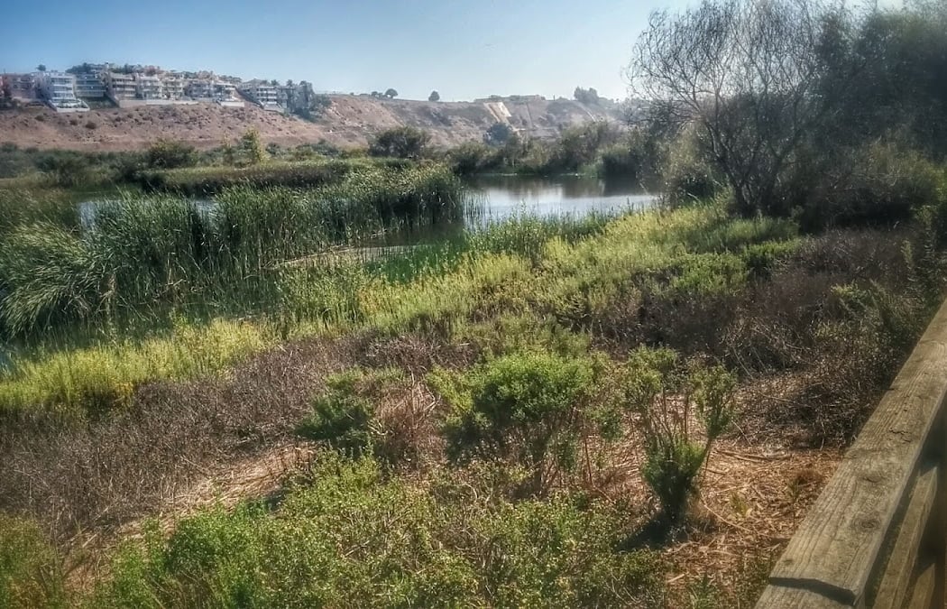 Ballona Wetlands Ecological Reserve 3