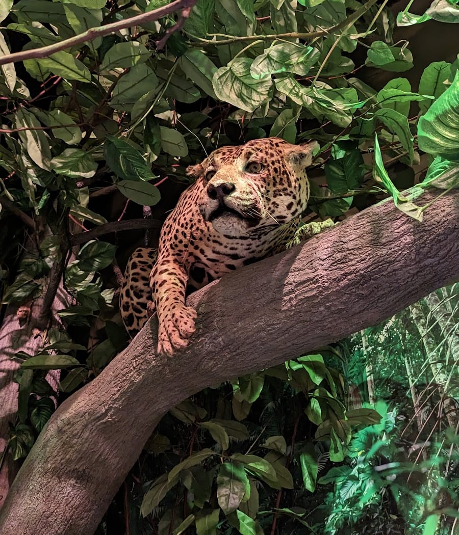 Delaware Museum of Nature & Science 4