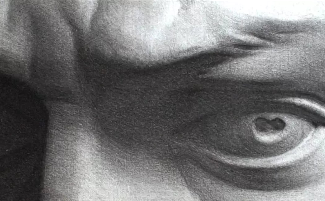 Still Life Drawing 1