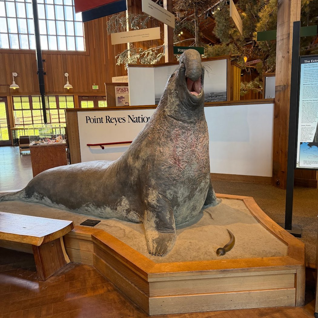 Point Reyes: The Point of Kings 1