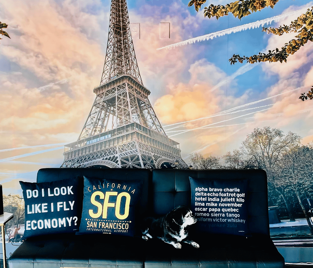 All Business Class Travel Agency 2