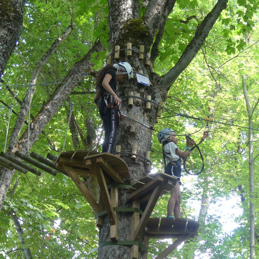 La forêt des aventuriers 1