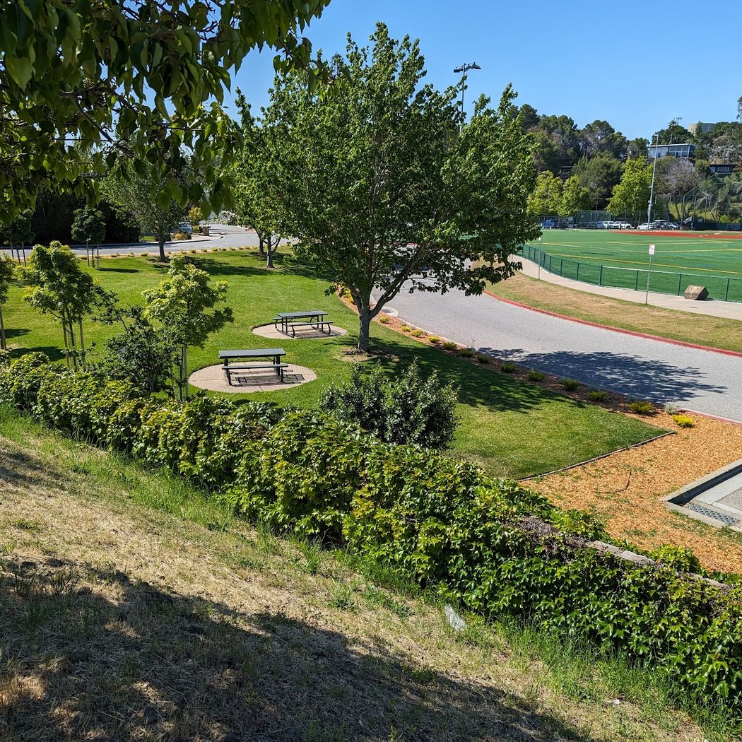 Highlands Park Field 3