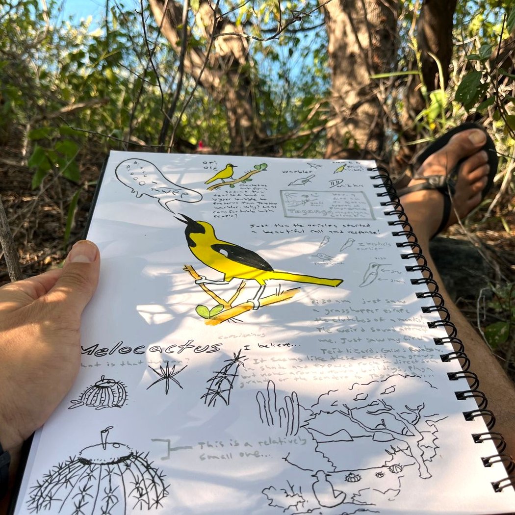 Intro to Nature Journaling 2