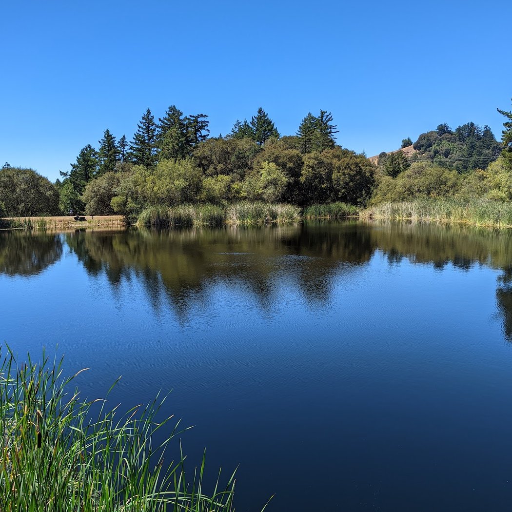 Horseshoe Lake Half Marathon 3