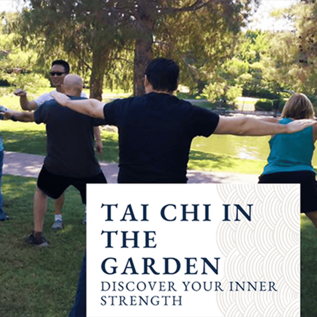 Tai Chi & Qigong Experience