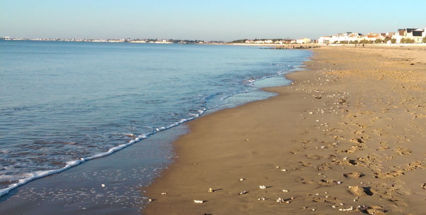 Le Littoral de la Charente-Maritime 1