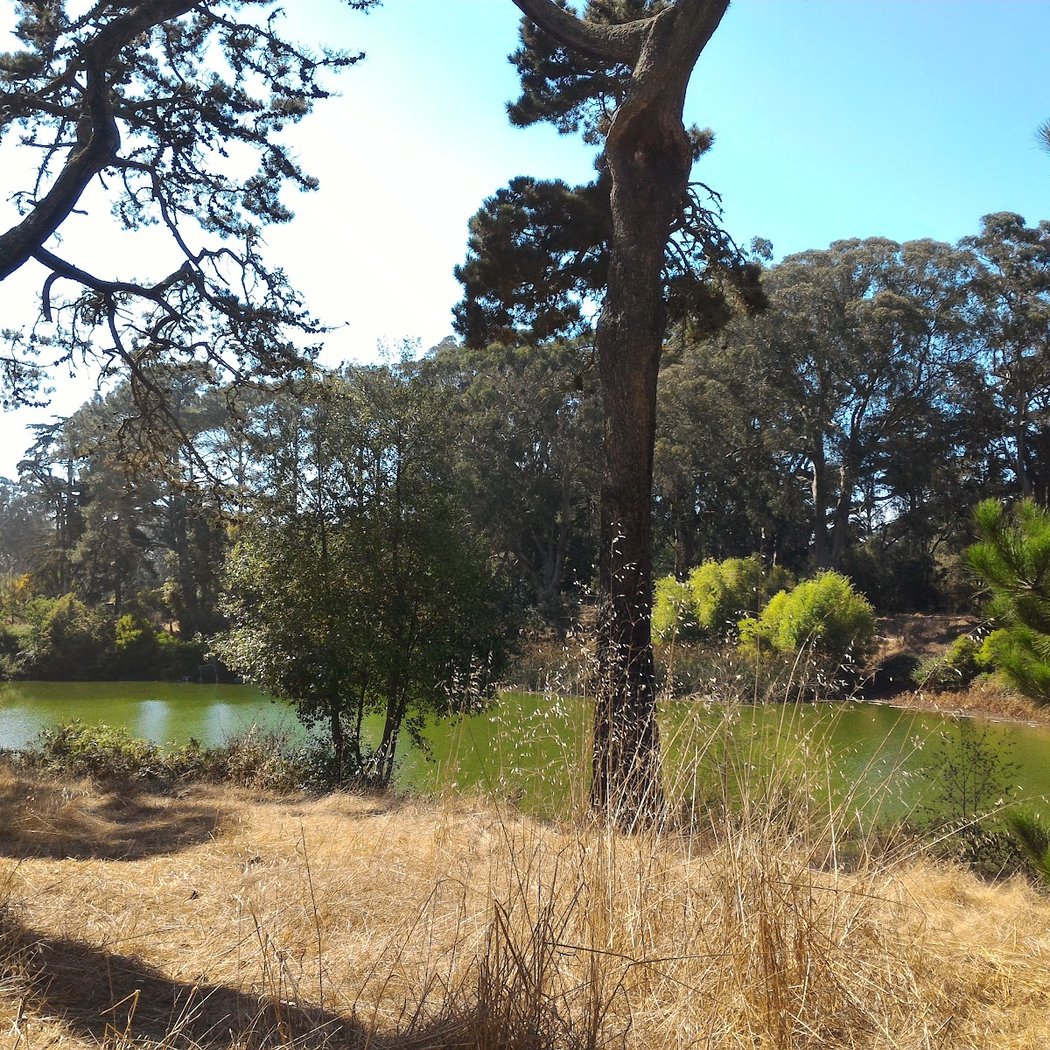 Elk Glen Lake 2