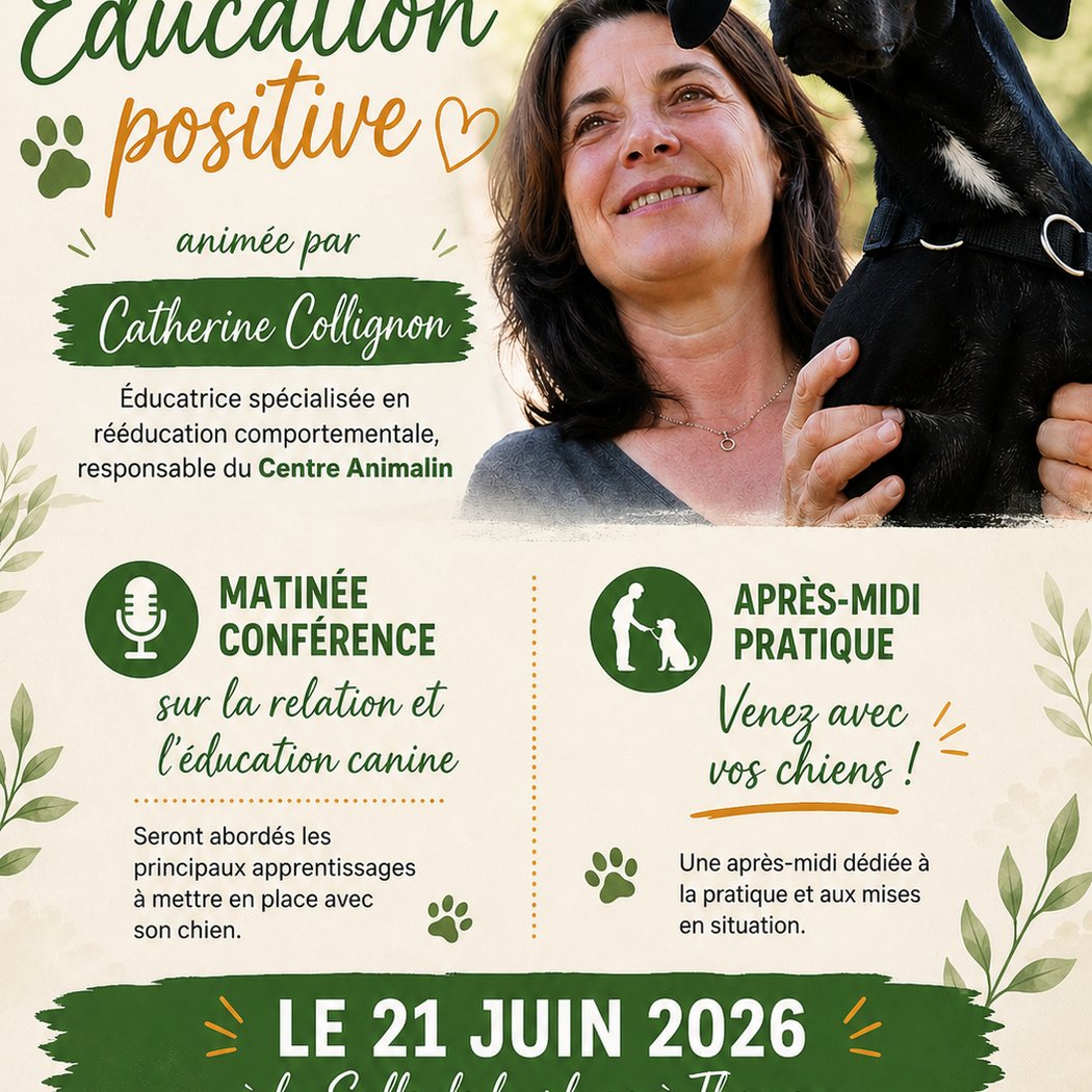 Journée éducation positive 1