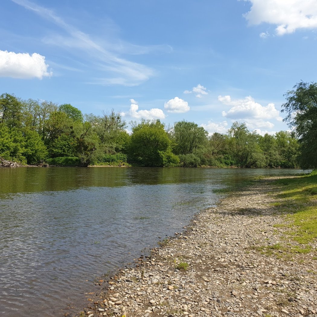 Allier River 3