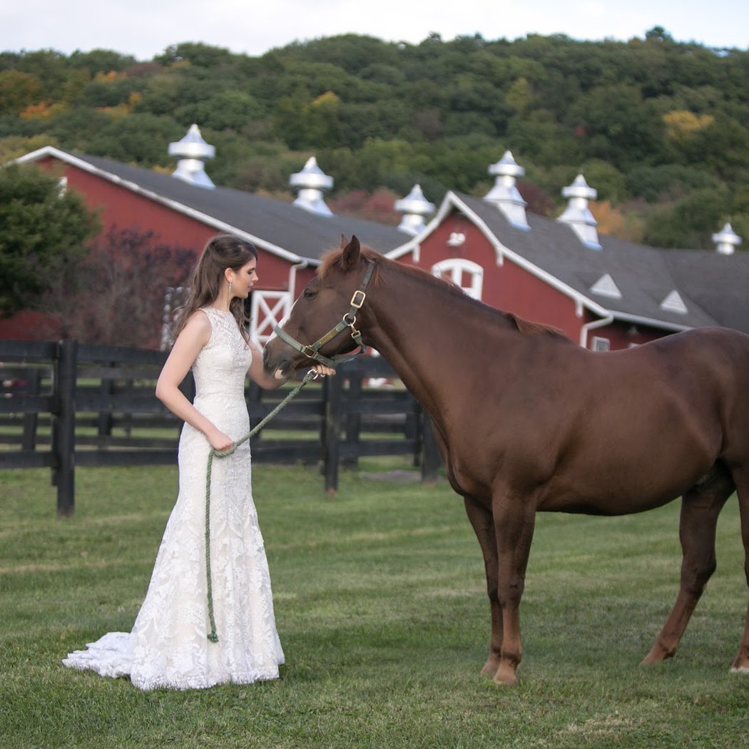 Kirby Hill Farm 1