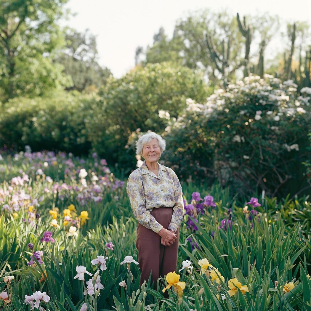 Knowing and Growing Irises 1