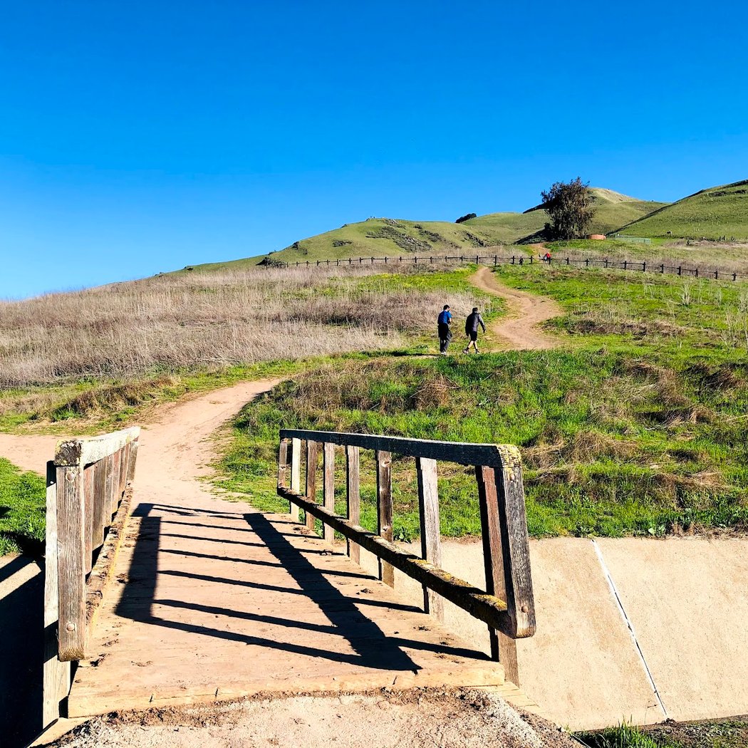 Agua Caliente Trail 1