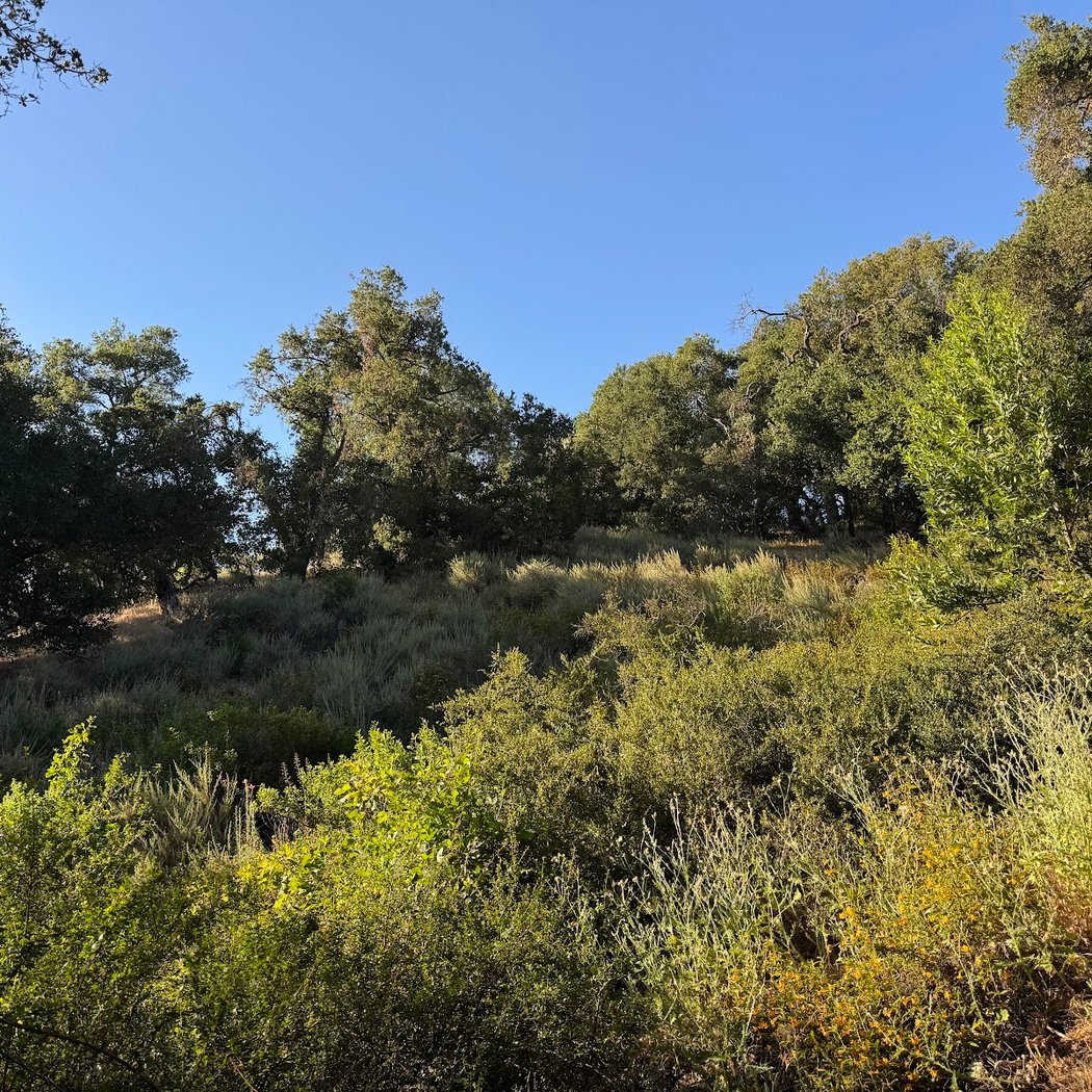 Vista and Valley View Trailhead 3