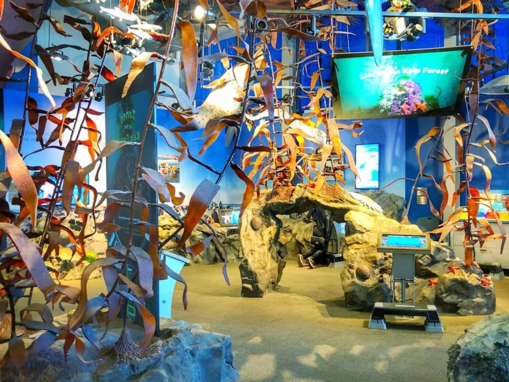 Seymour Marine Discovery Center 3