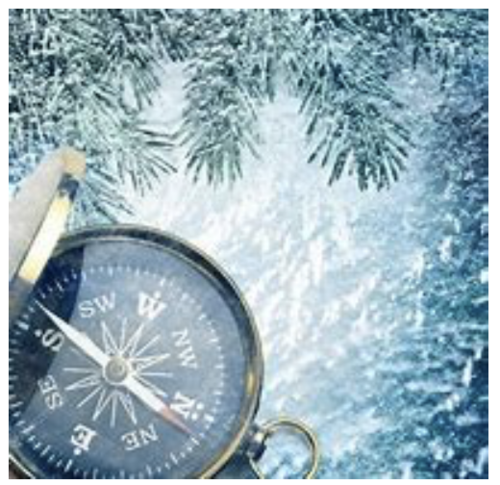 Winter Orienteering 1