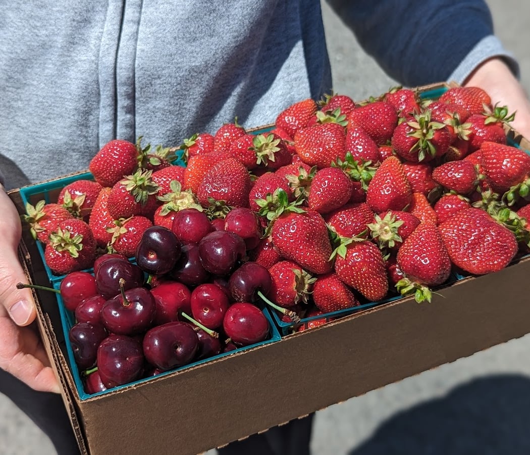 Watmaugh Strawberries 1