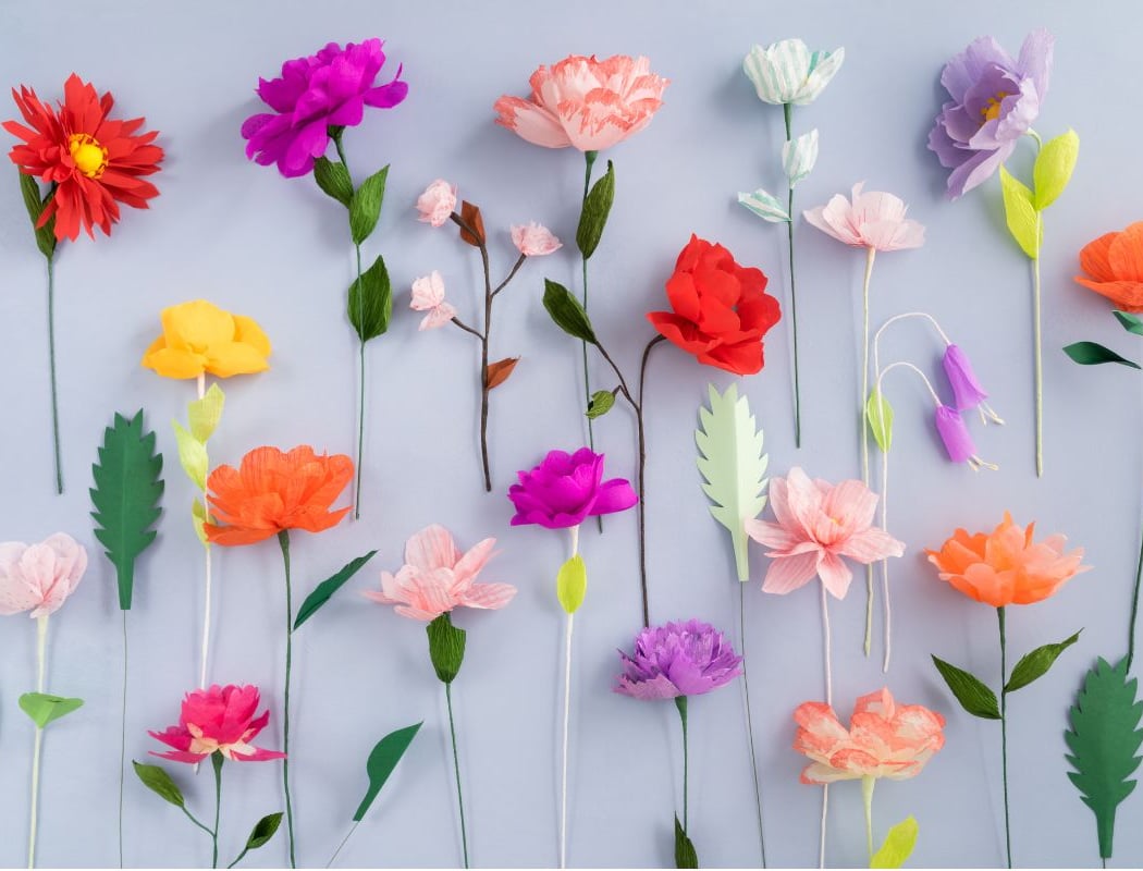 Atelier créatif de fabrication de fleurs en papier et coloriages 1