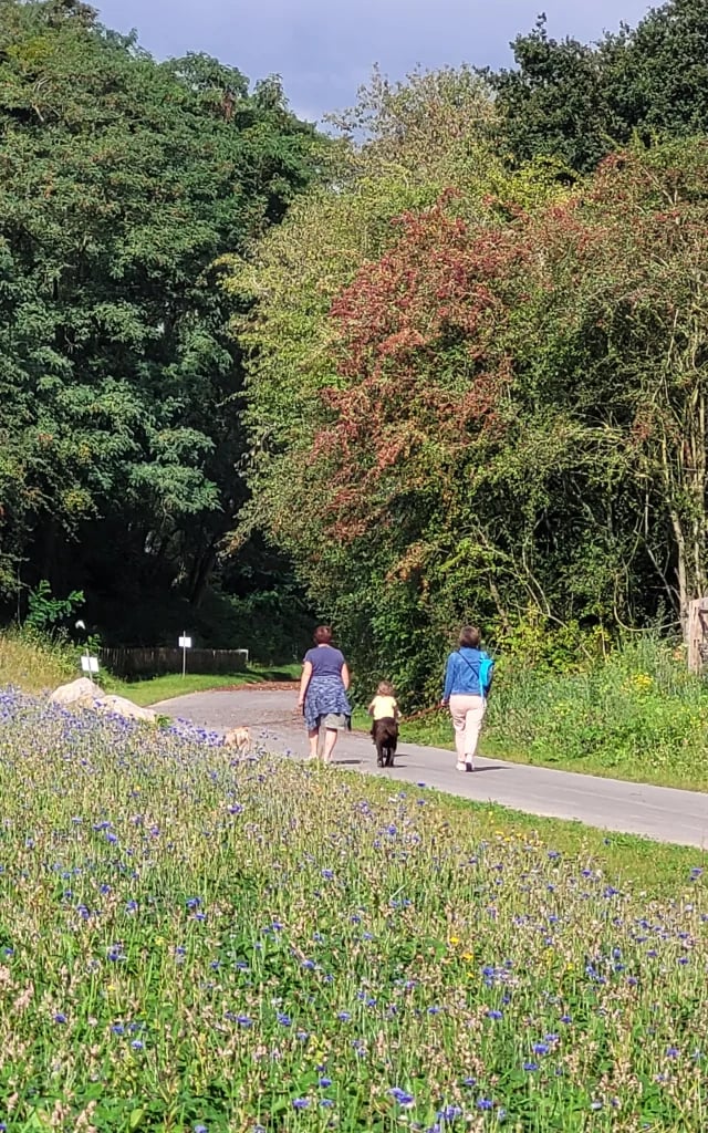 Chemin Vert du Petit Caux 2