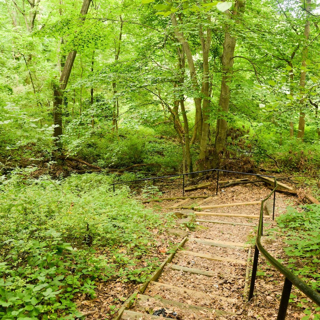 It's My Park at Seton Falls Park 3