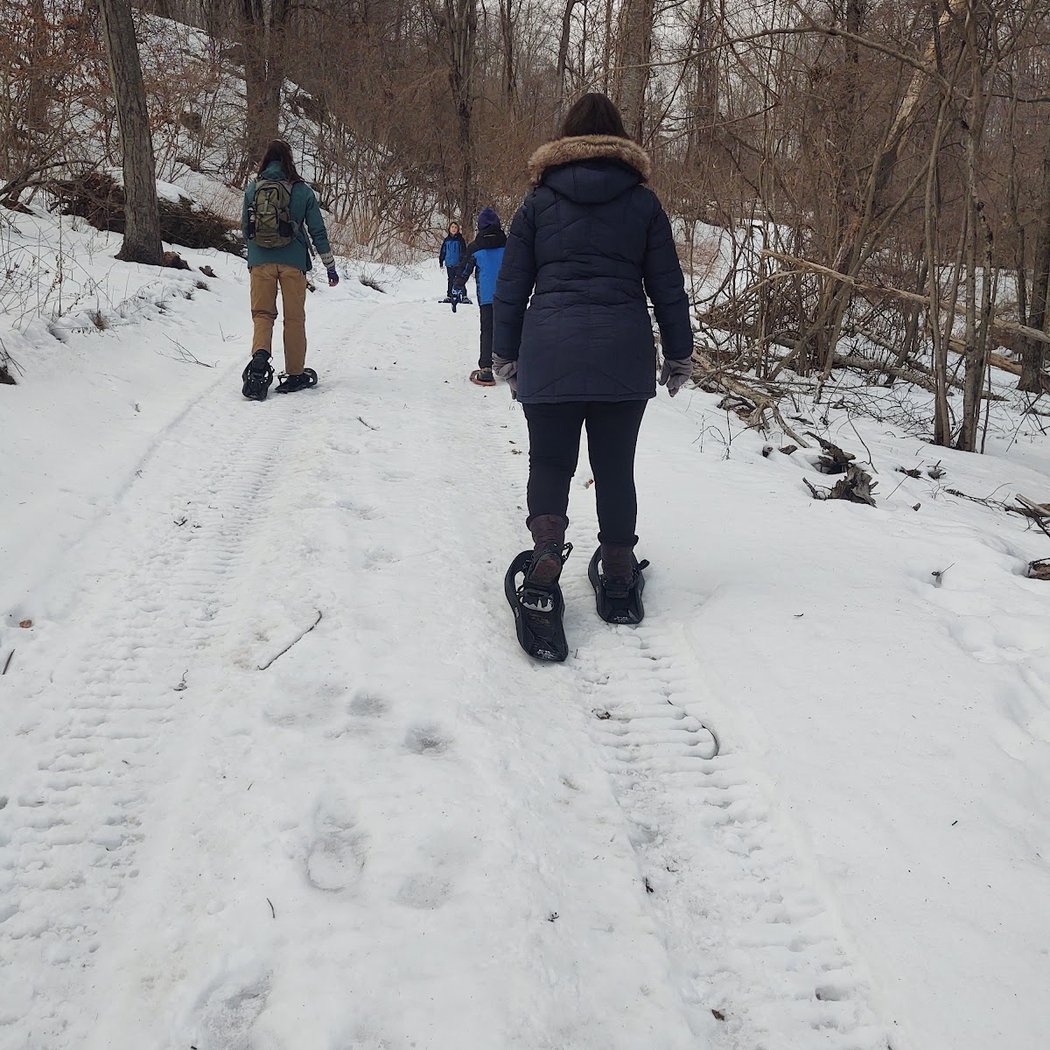 Starlight Snowshoeing 3