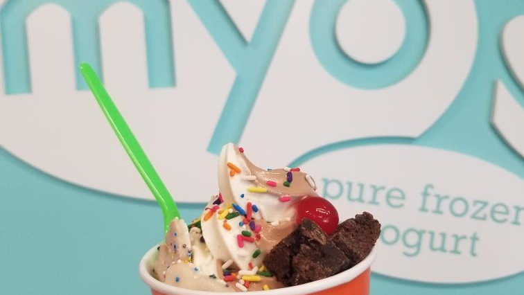 MYO Frozen Yogurt 2
