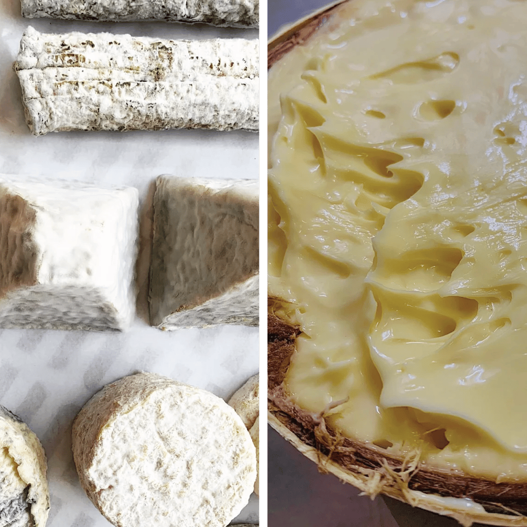 TAKA & VERMO - Artisans Fromagers 2